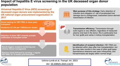 Impact of Hepatitis E Virus Screening in the UK Deceased Organ Donor Population